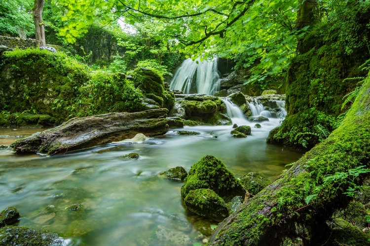 氨氮