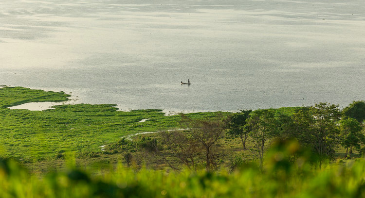 余氯监测