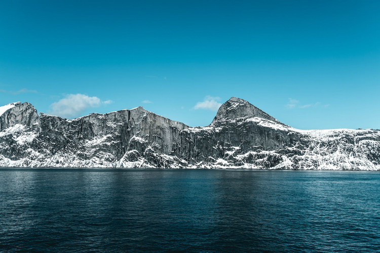 浊度在线检测仪