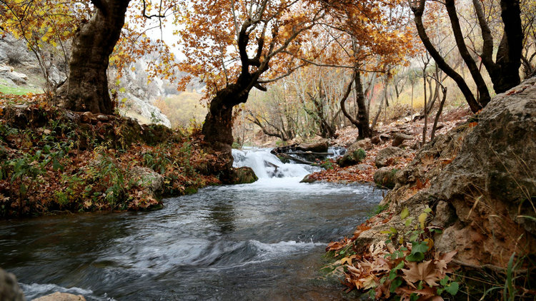 氨氮