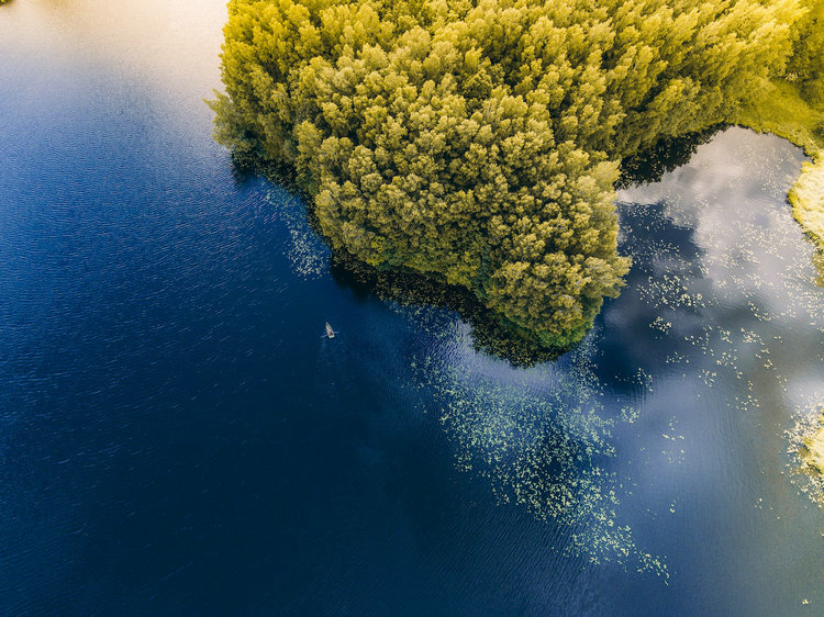 氨氮总氮