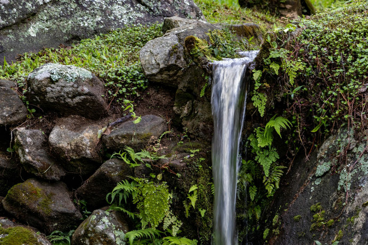 氨氮